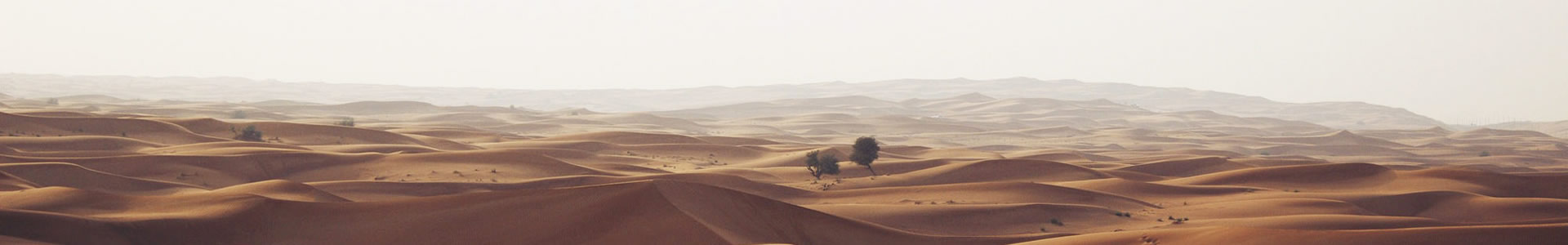 ԻƼ޹˾
